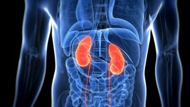 Impaired kidney function is the main cause of high blood pressure